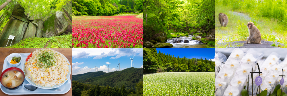 臨場感のある映像をどうぞ
動画ライブラリー