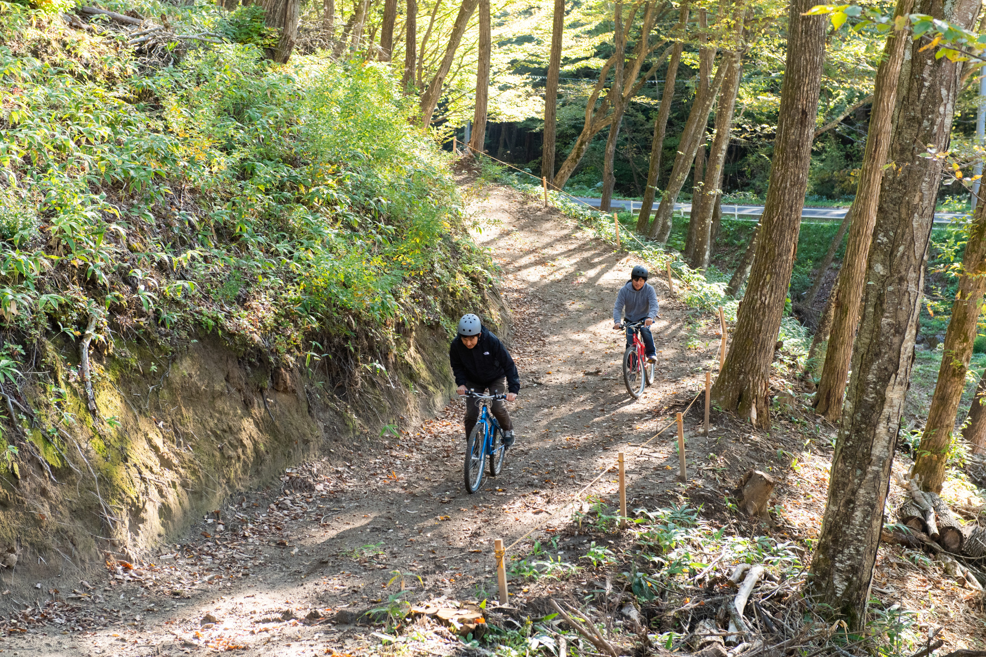 マウンテンバイクコース
山あり谷ありの1,000mコース。実際の大会で使用される本格コースを体験できます。爽快に緑の中を駆け抜けよう！