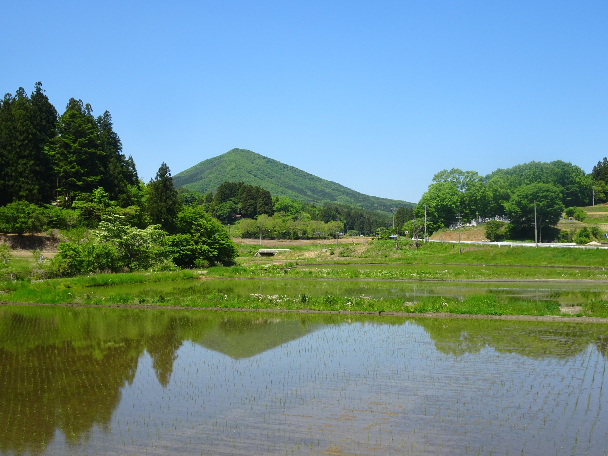 水田に移る葛尾富士（竜子山）