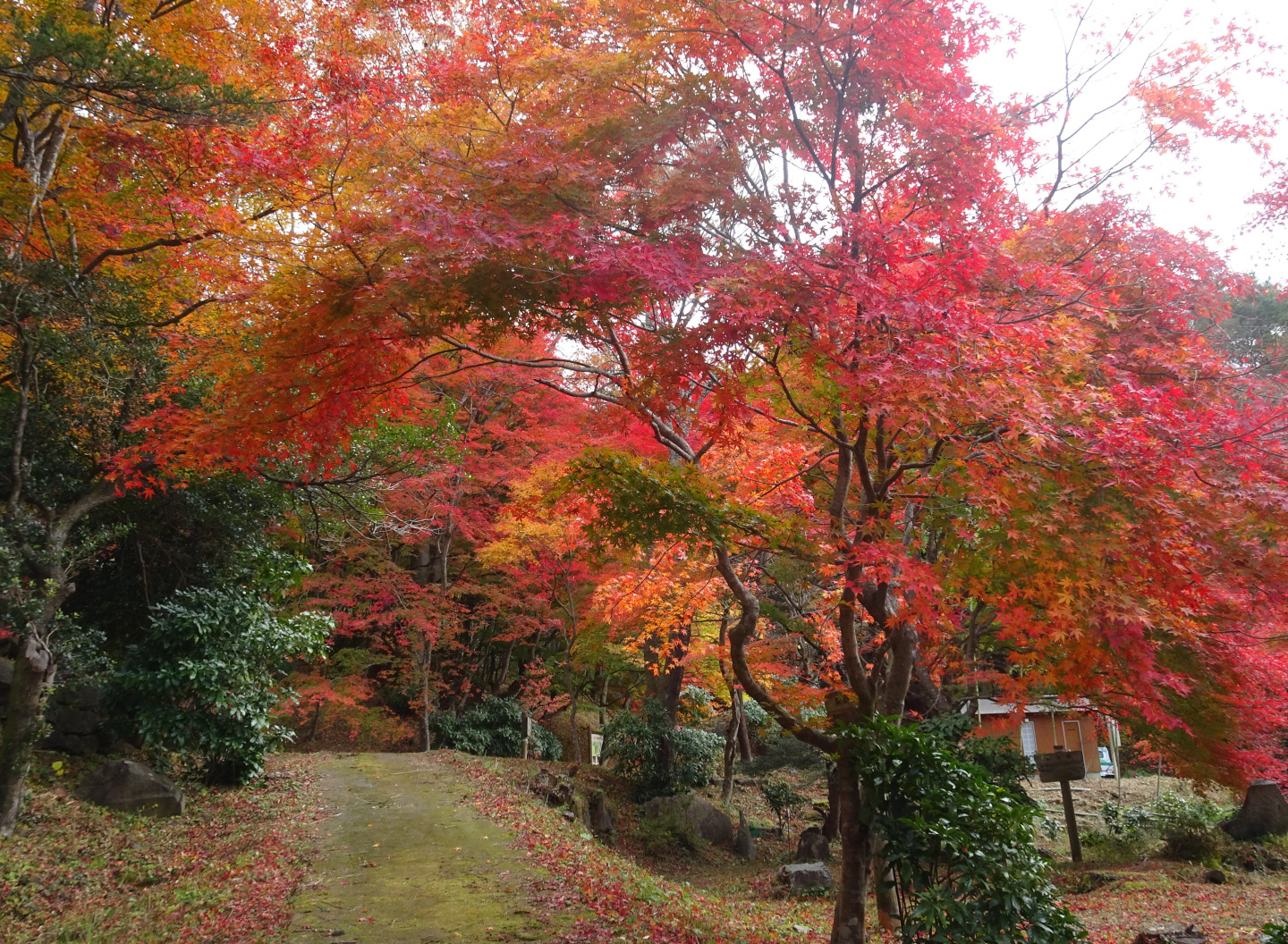 あぶくまロマンチック街道を巡る日帰り旅！福島縦断ドライブモデルコース	