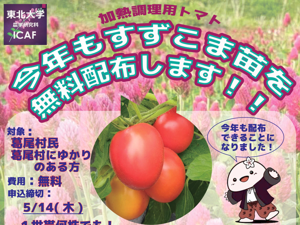 【5/16（土）】加熱調理用トマト「すずこま」苗を無料配布します