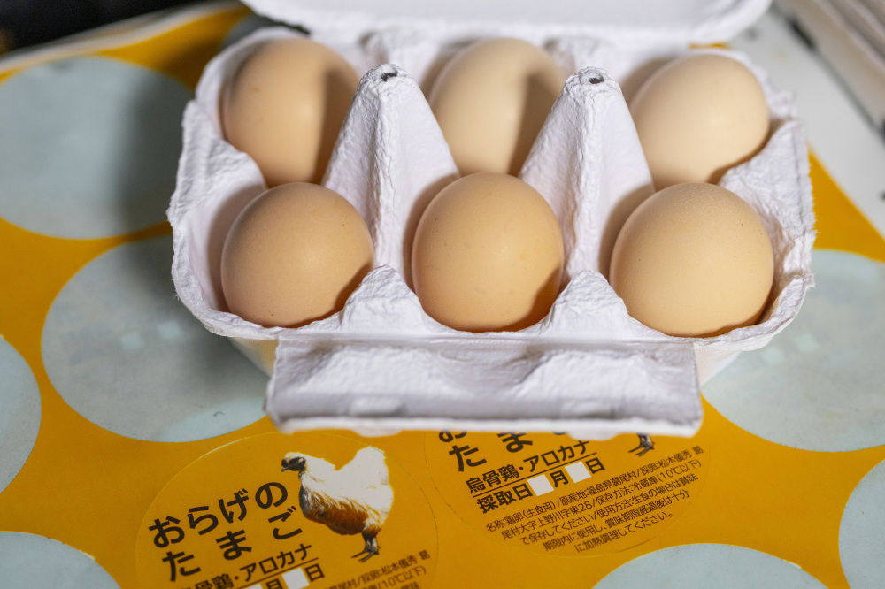 葛尾村のお土産におすすめ。平飼い烏骨鶏とアローカナの卵