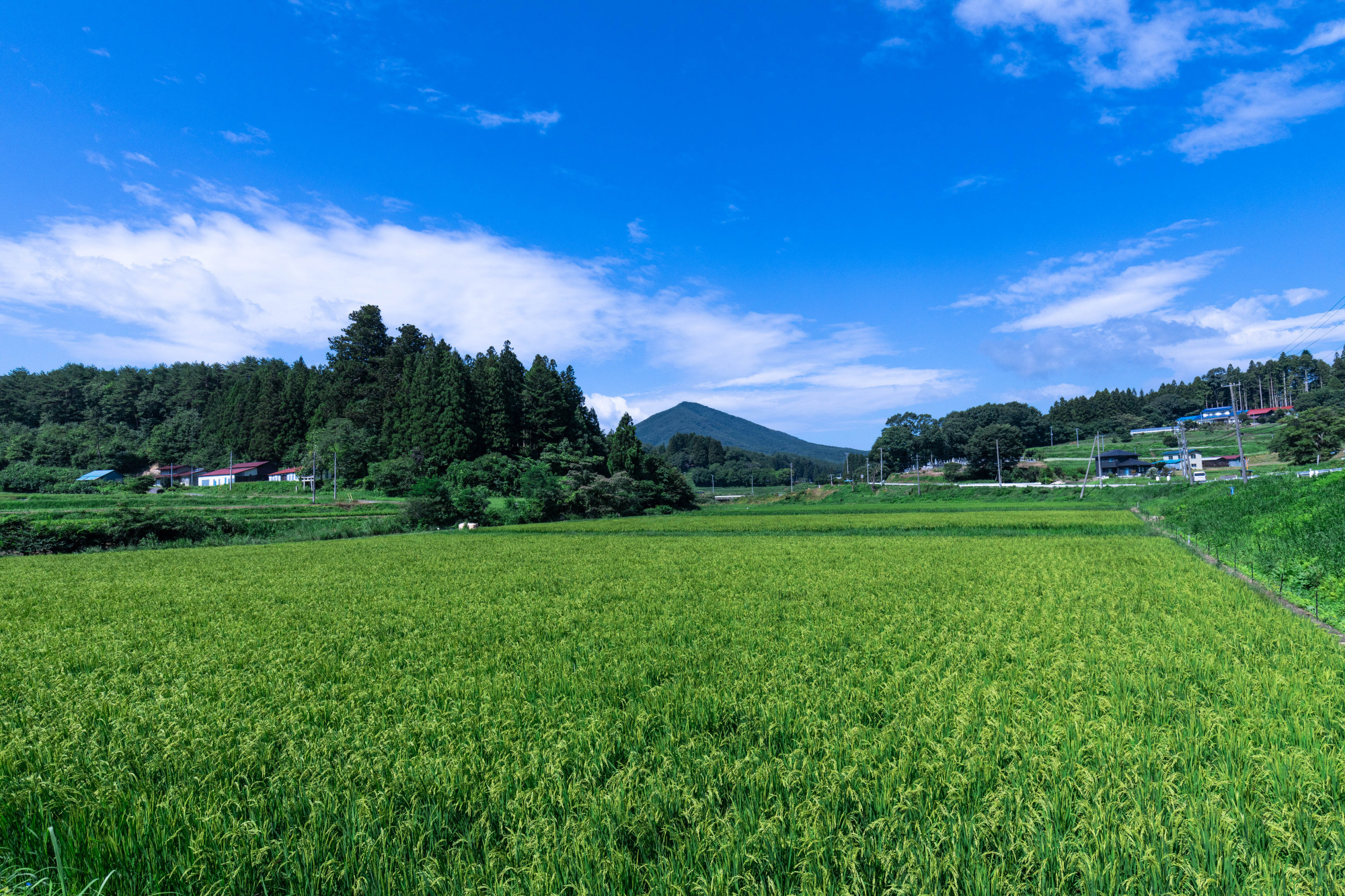 美しい里山