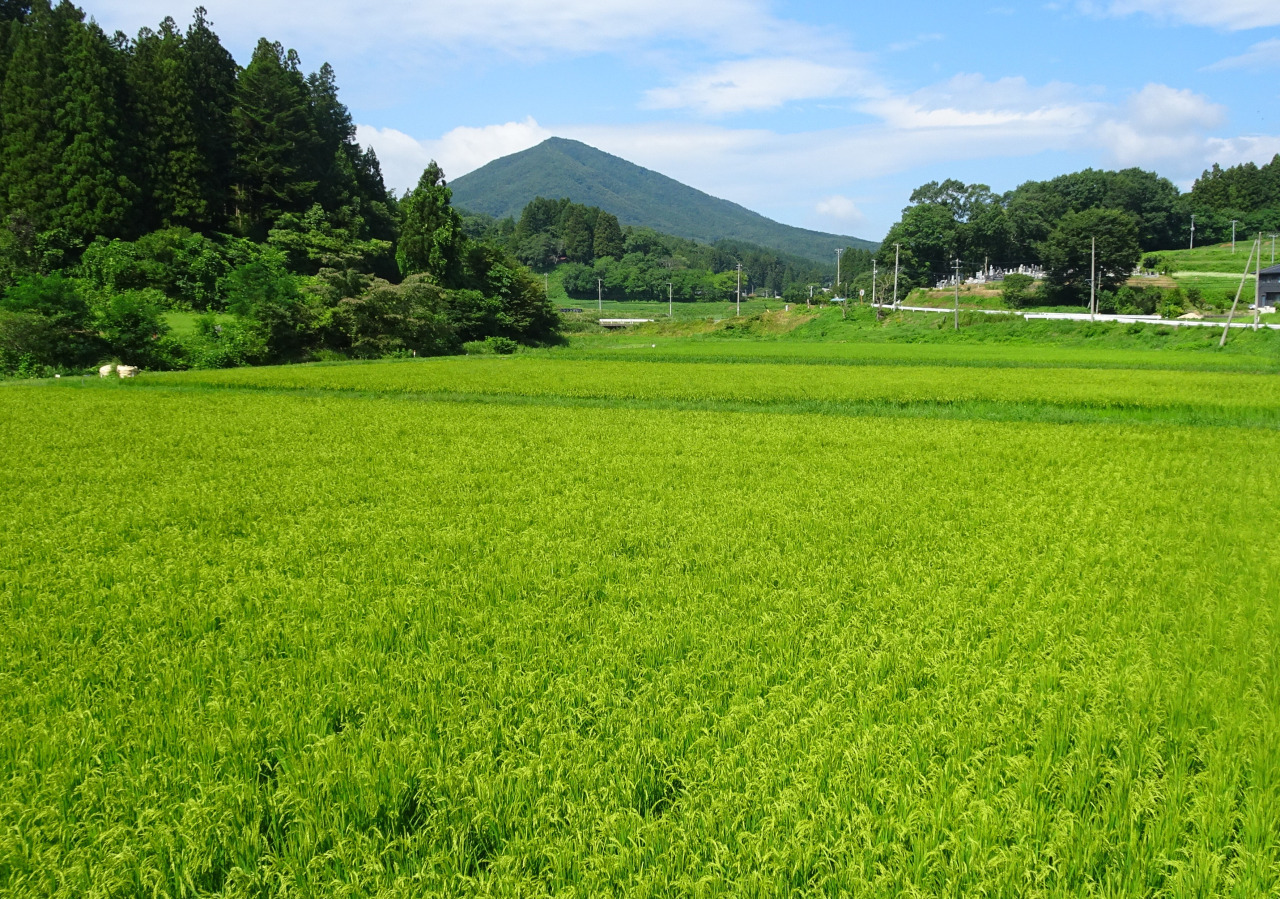 竜子山(葛尾小富士)と里山の風景