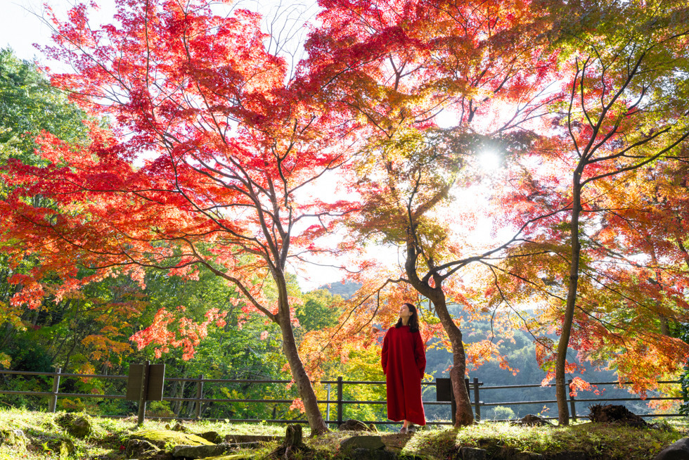 葛尾大尽屋敷跡公園