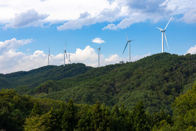 映像の臨場感！動画ライブラリー